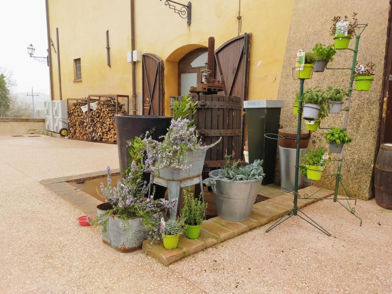 Casigliano Locanda Di Casigliano别墅 外观 照片